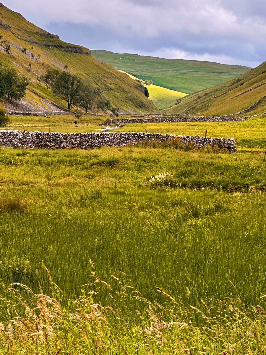 Always there is mess
But still the fleeting light comes
Like scattered diamonds or
A wash of gold