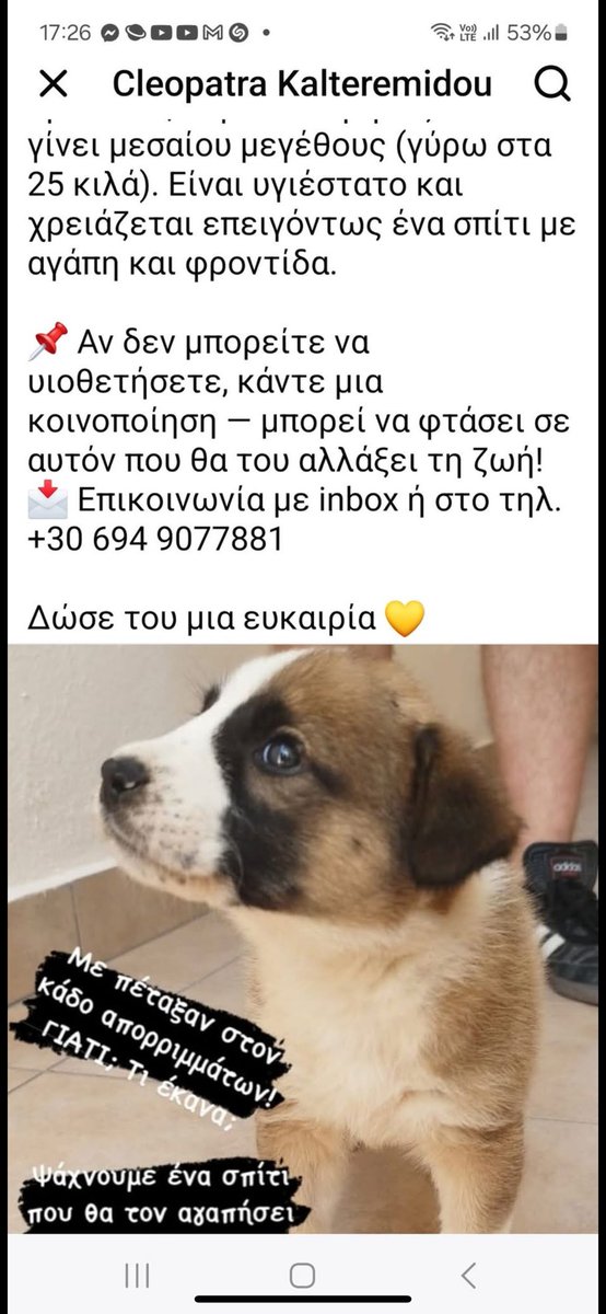 Rika Passa (@rikoulini) on Twitter photo 