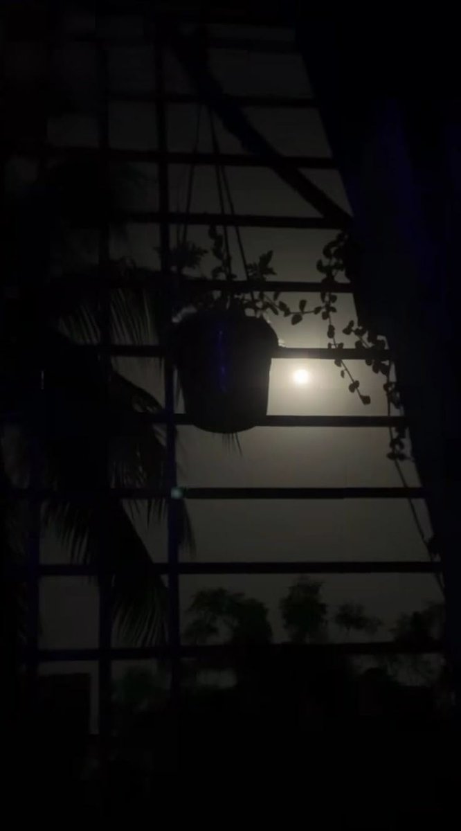 বয়স বাড়ার সাথে বৃদ্ধ হওয়ার কোন সম্পর্ক নাই। যার আত্মার আলো যত কম সে তত বেশী বৃদ্ধ।
.
.

......
🩵🍀