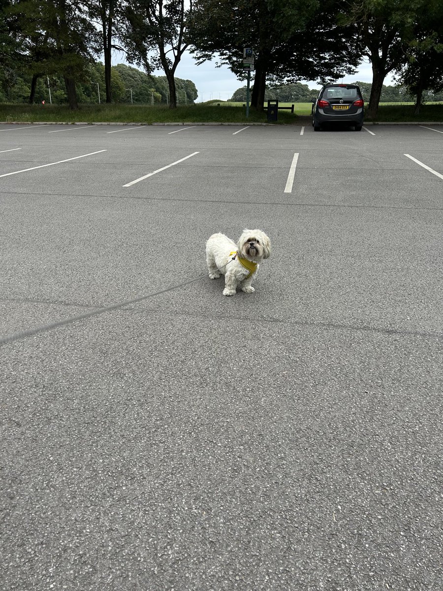 Not sure I wanna go in that car