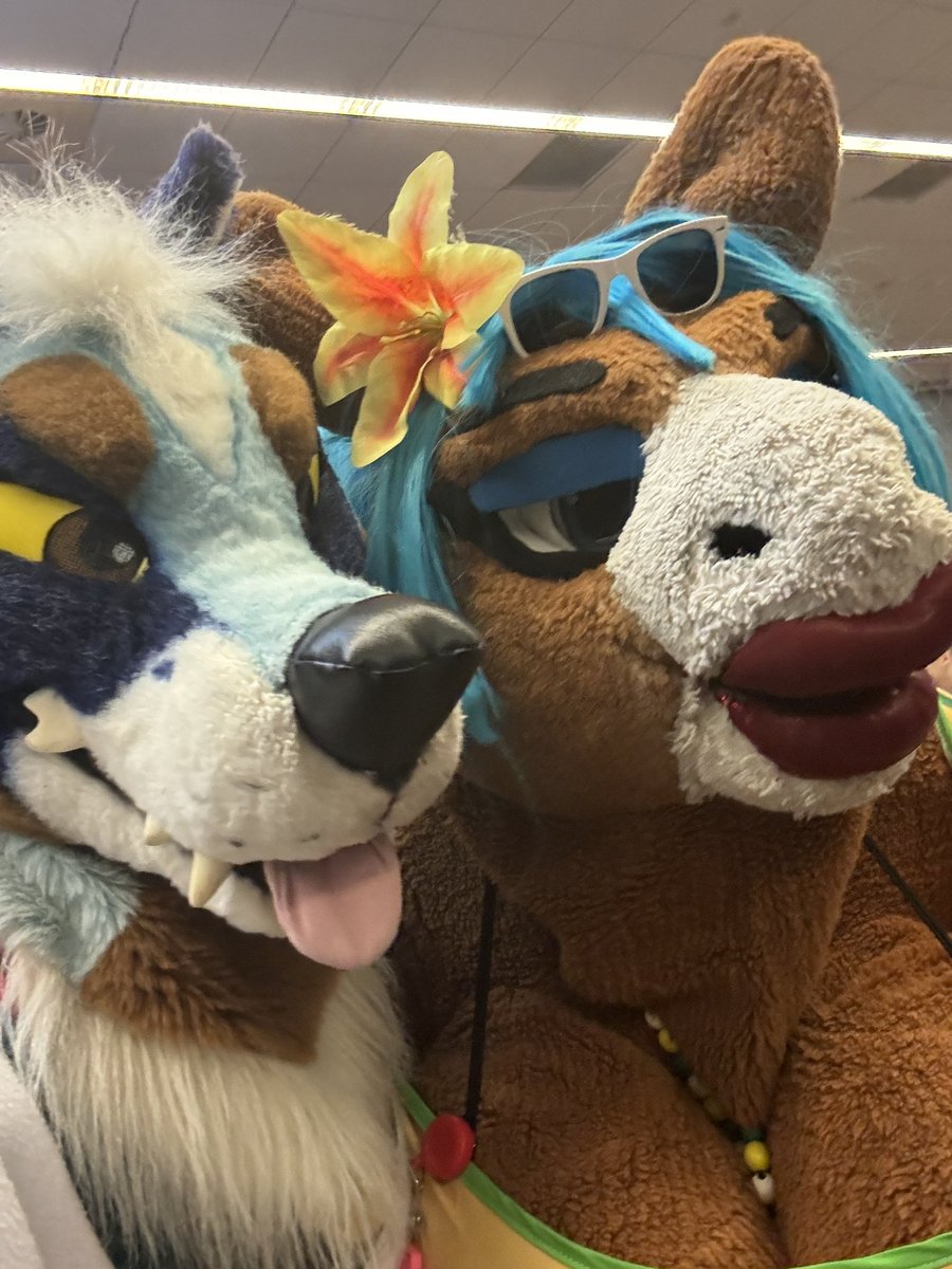 BIG!! TIDDY!! HORSE!! <a href="/FionaMaray/">💅 Fiona ''Goofy Ahh'' Maray🐴</a>