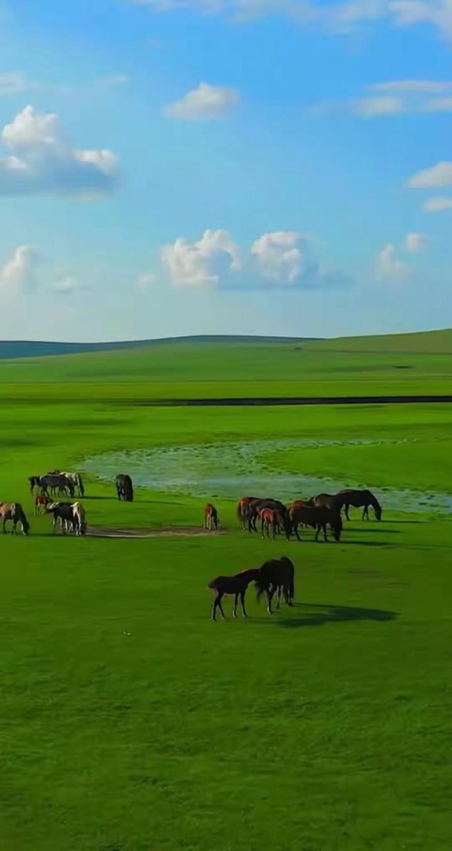 Шинэ долоо хоногийн өглөөний мэнд хүргэе.2025.07.07. Даваа гариг.