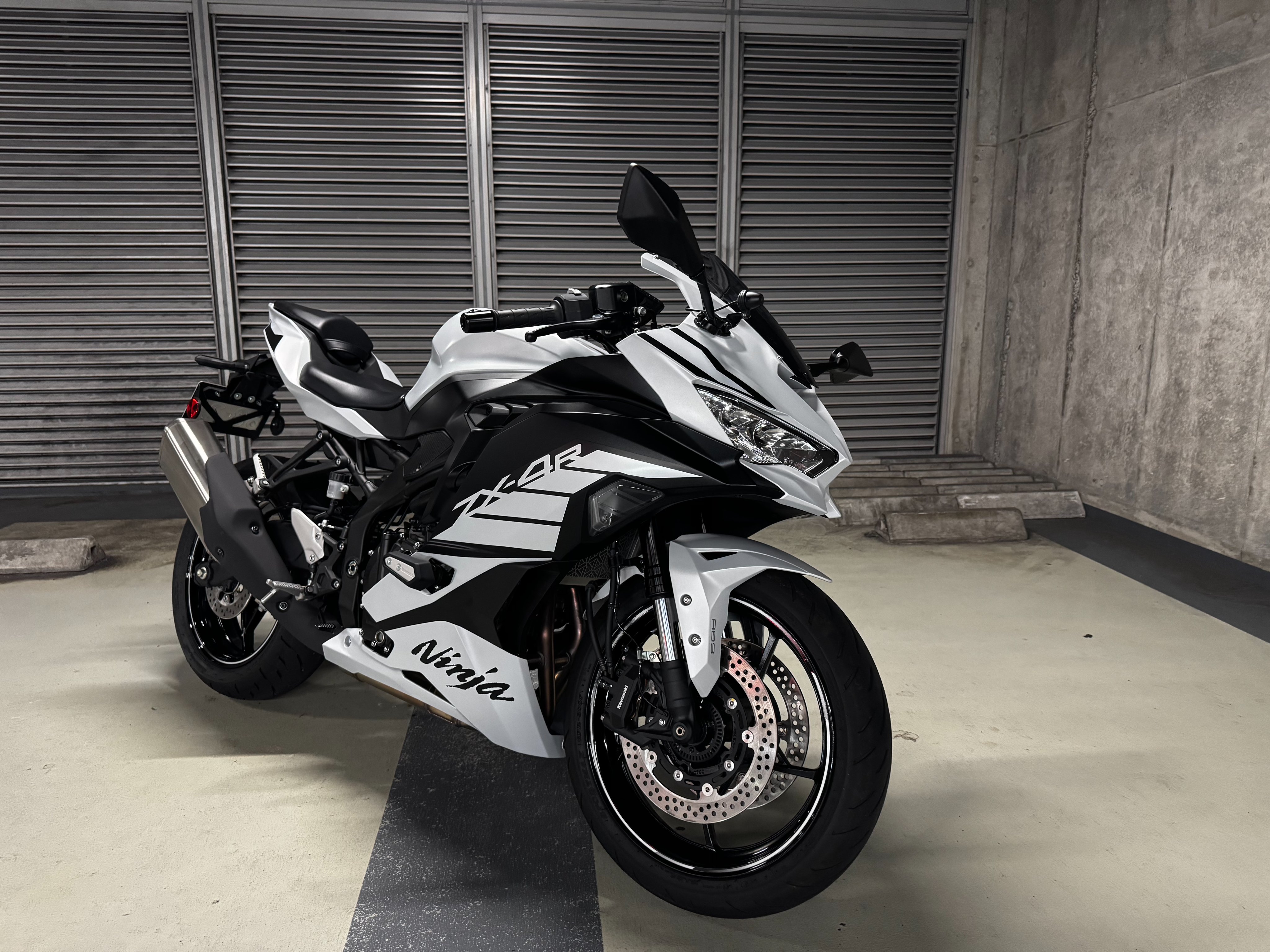 モーモさん専用 MOMOSE MT-HYUGAZAKURA25/E【数量限定】【現物画像】【2025大