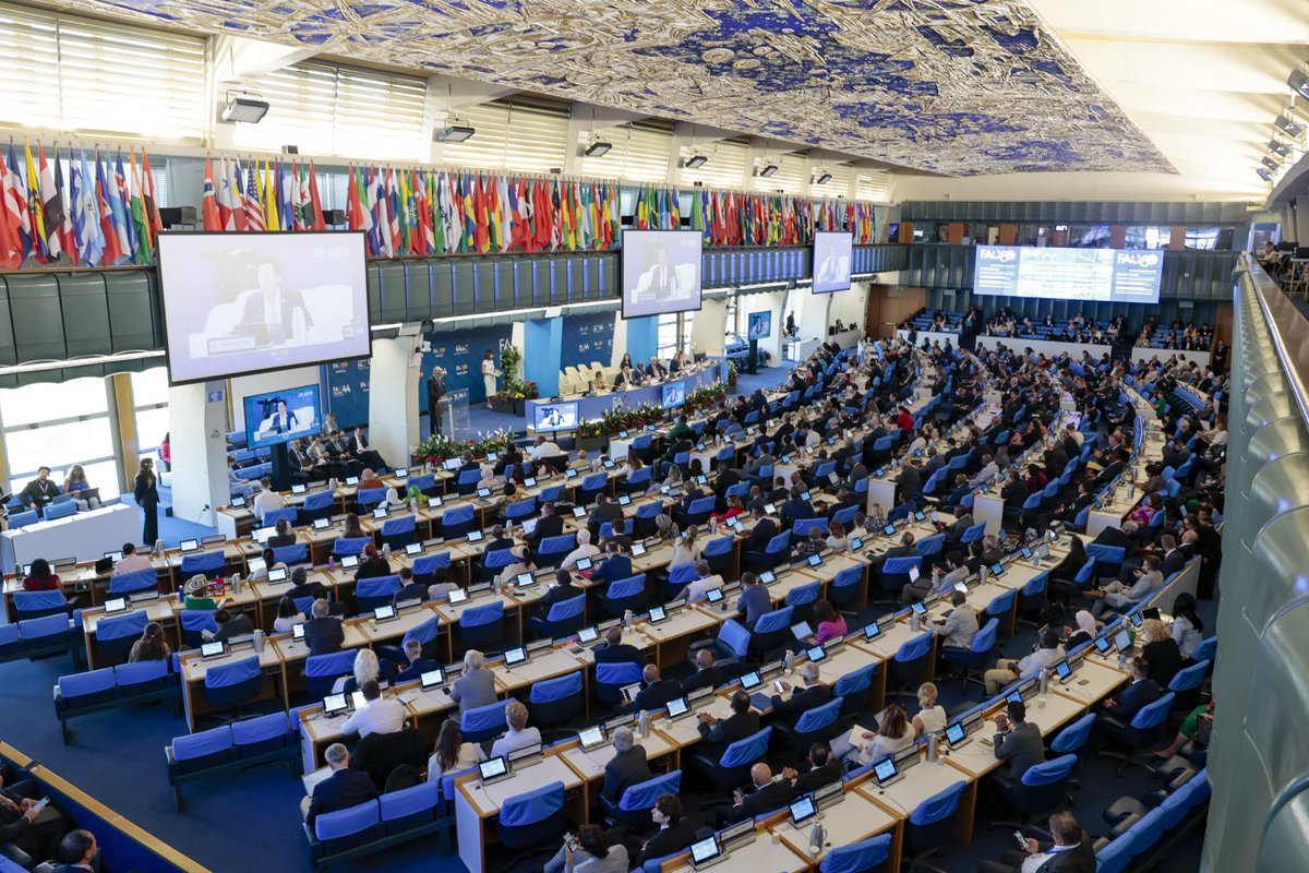 baba_fao's tweet photo. C’est avec une immense fierte que nous félicitons notre Ministre pour sa brillante presidence de la 44eme conference de la FAO. Faciliter les echanges et reconcilier les positions de 194 n’est guere chose facile. Yet he skillfully &amp; tactically achieved it. Bravo! https://t.co/TuQd8Aszqe