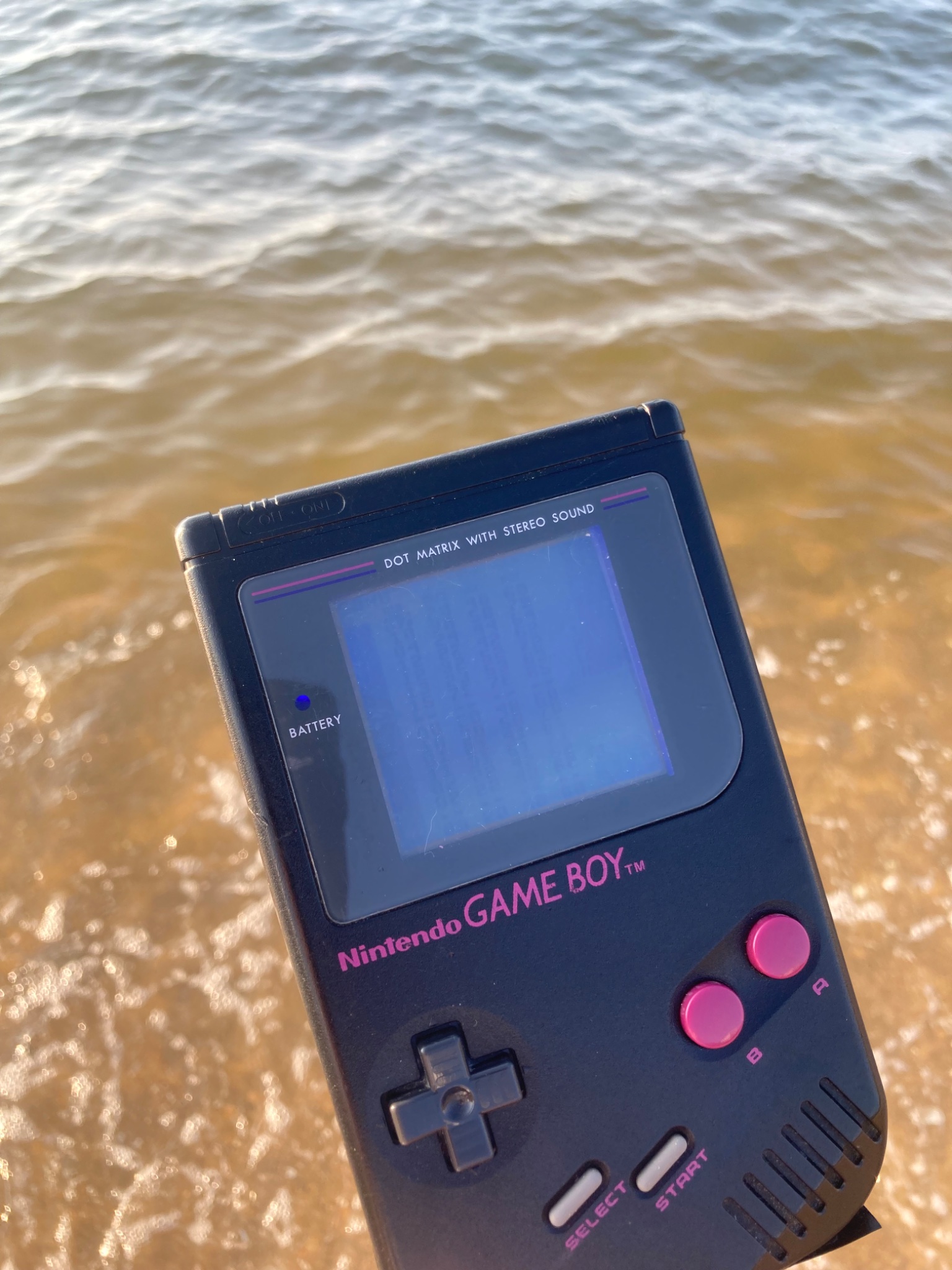 うまちゃん はじめまして！ 自分でコツコツと… 沼にハマっています