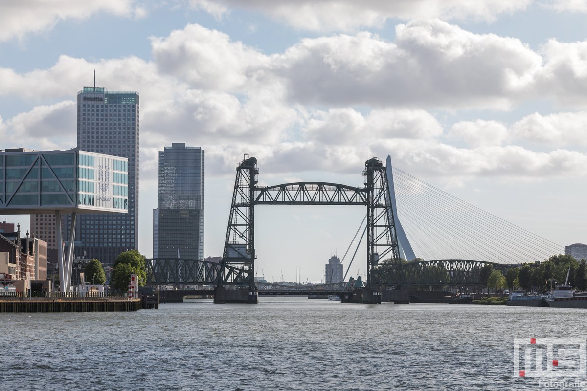 De Hef in Rotterdam met op de achtergrond de Erasmusbrug

#dehef #weerfoto #rotterdam #maas #erasmusbrug #fotograaf #photograpger #blackandwhitephotography #noordereiland

Meer op: ms-fotografie.nl