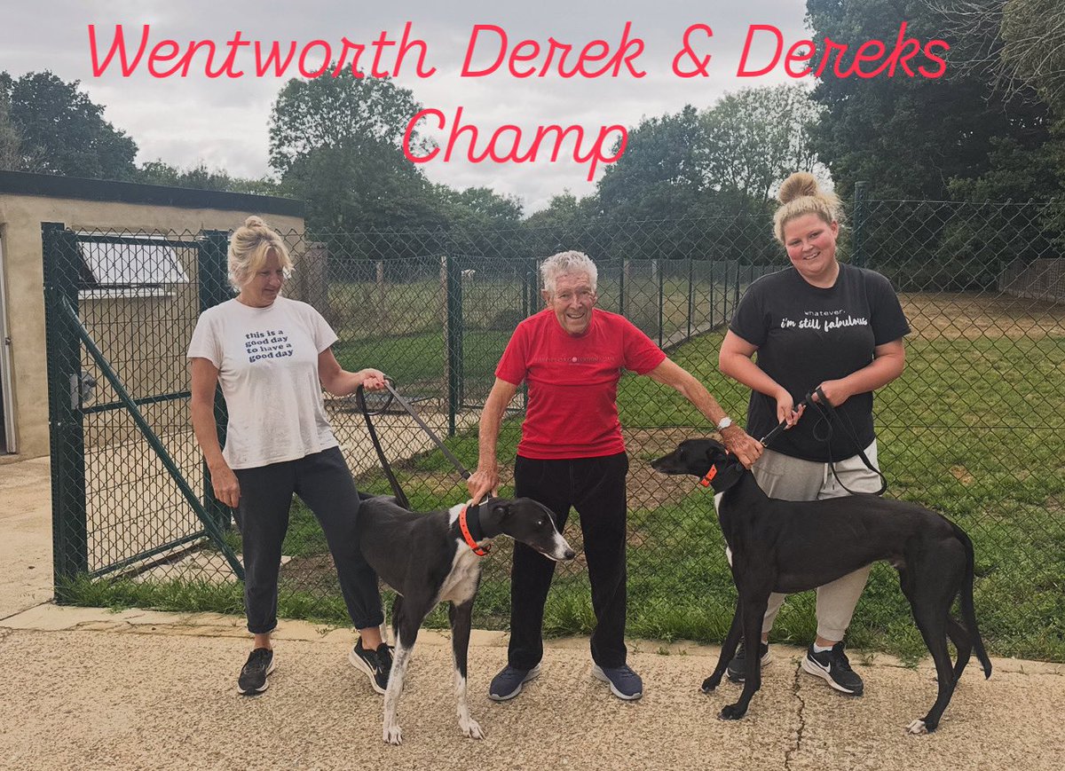Two new kidz on the block.

Not sure if Dad becomes (nearly) the oldest owner but he can’t be far away.

Good luck Derek &amp; Champ 🐾 😍