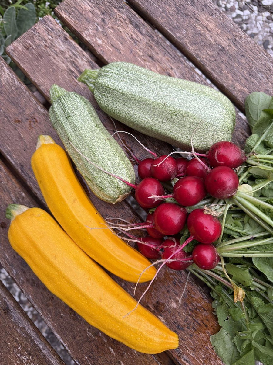 Настя из Гамбурга (@butasyanastya) on Twitter photo 