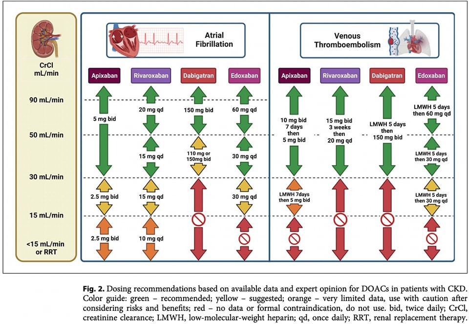 🔴Anticoagulation in Patients with CKD⤵️ #2024Review #OpenAccess

🔹Dosing recommendations for DOACs in patients with CKD.  
🔹pmc.ncbi.nlm.nih.gov/articles/PMC10…
 #Cardiology #FOAMed #MedEd #medstudent #paramedic #Cardiology #CardioEd #medtwitter #meded #CardioTwitter #cardiotwiteros