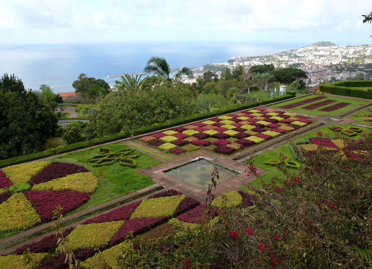 #Toronto, Canada to the Portuguese island of Madeira for only $544 CAD roundtrip with TAP Air Portugal #Travel

secretflying.com/posts/toronto-…