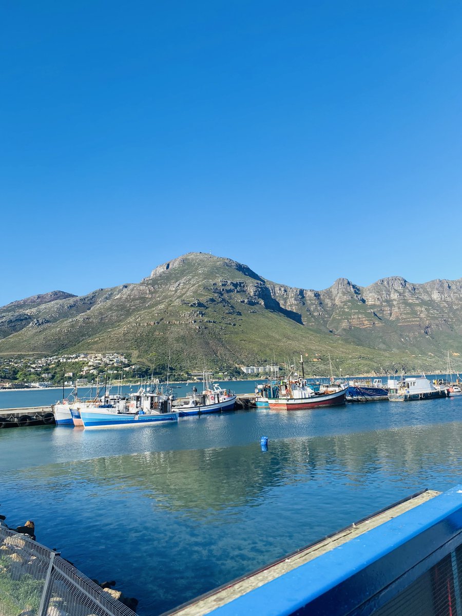 AsaMaybe's tweet image. 🌊⛰️