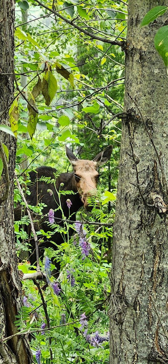 jonathan_smirl's tweet image. Reconnecting with nature!

#WorkLifeBalance