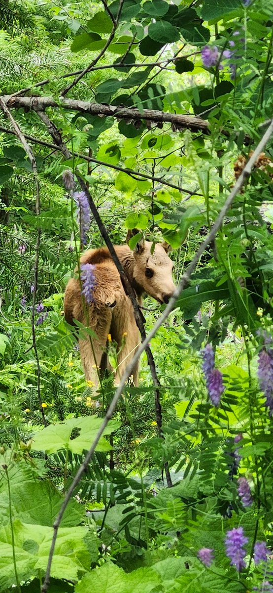 jonathan_smirl's tweet image. Reconnecting with nature!

#WorkLifeBalance