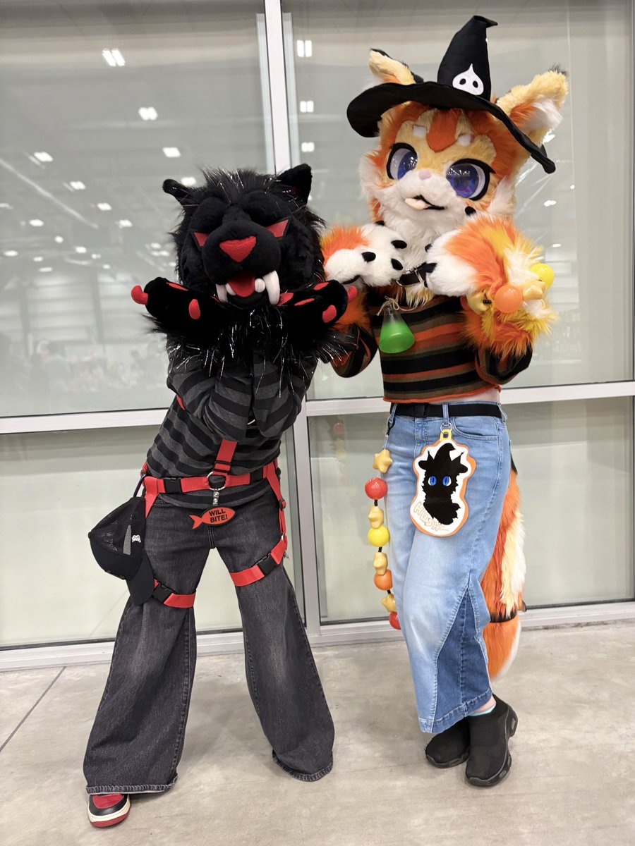 zerocruxgiven's tweet image. Which do you prefer, nice orange kitty or EVIL red kitty?