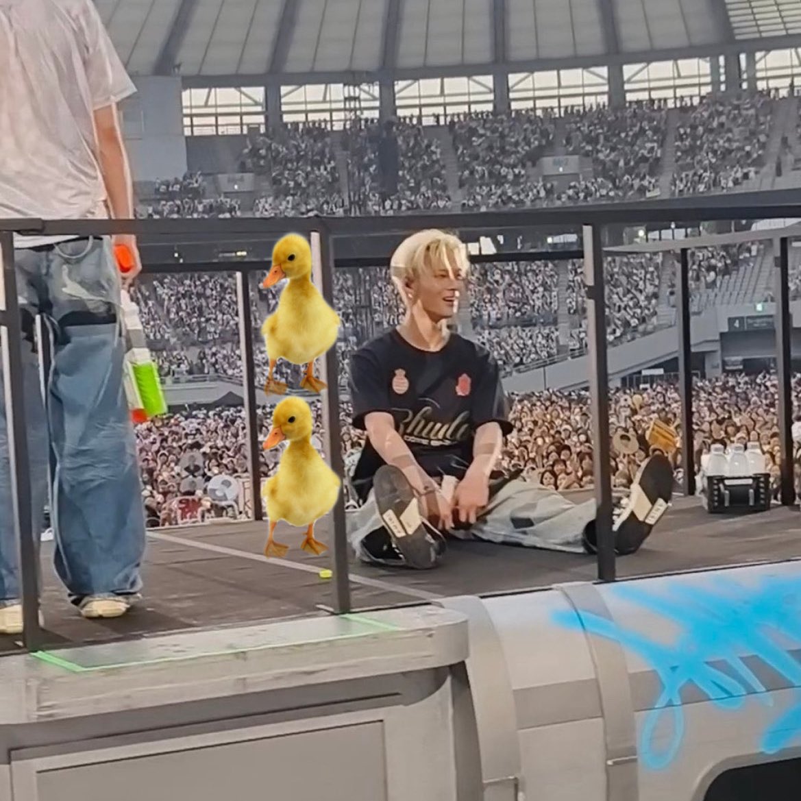 n1ikiz's tweet photo. YES he’s 3 ducks tall https://t.co/MEue0OX5TV