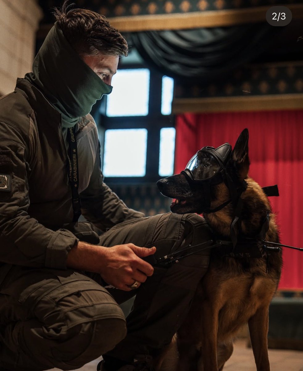 Unités spéciales francaises 🇫🇷 tweet media