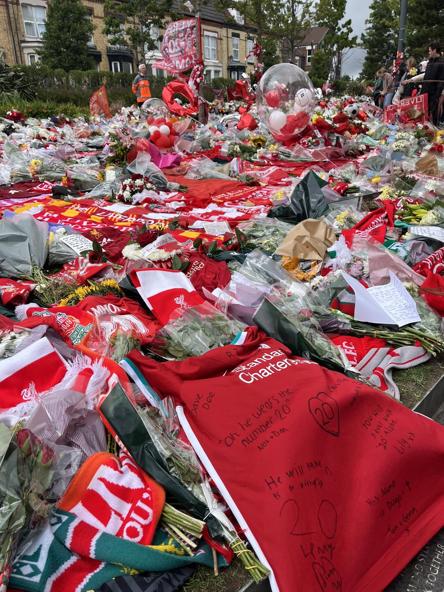 leftywright4's tweet image. Diogo Lives Forever #YNWA #DJ20