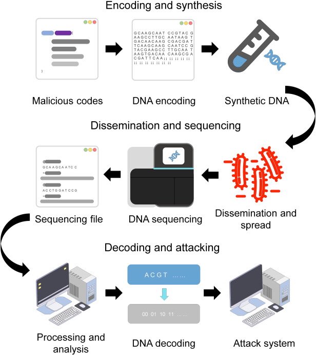 my DNA is so powerful it buffer overflows the decoder program