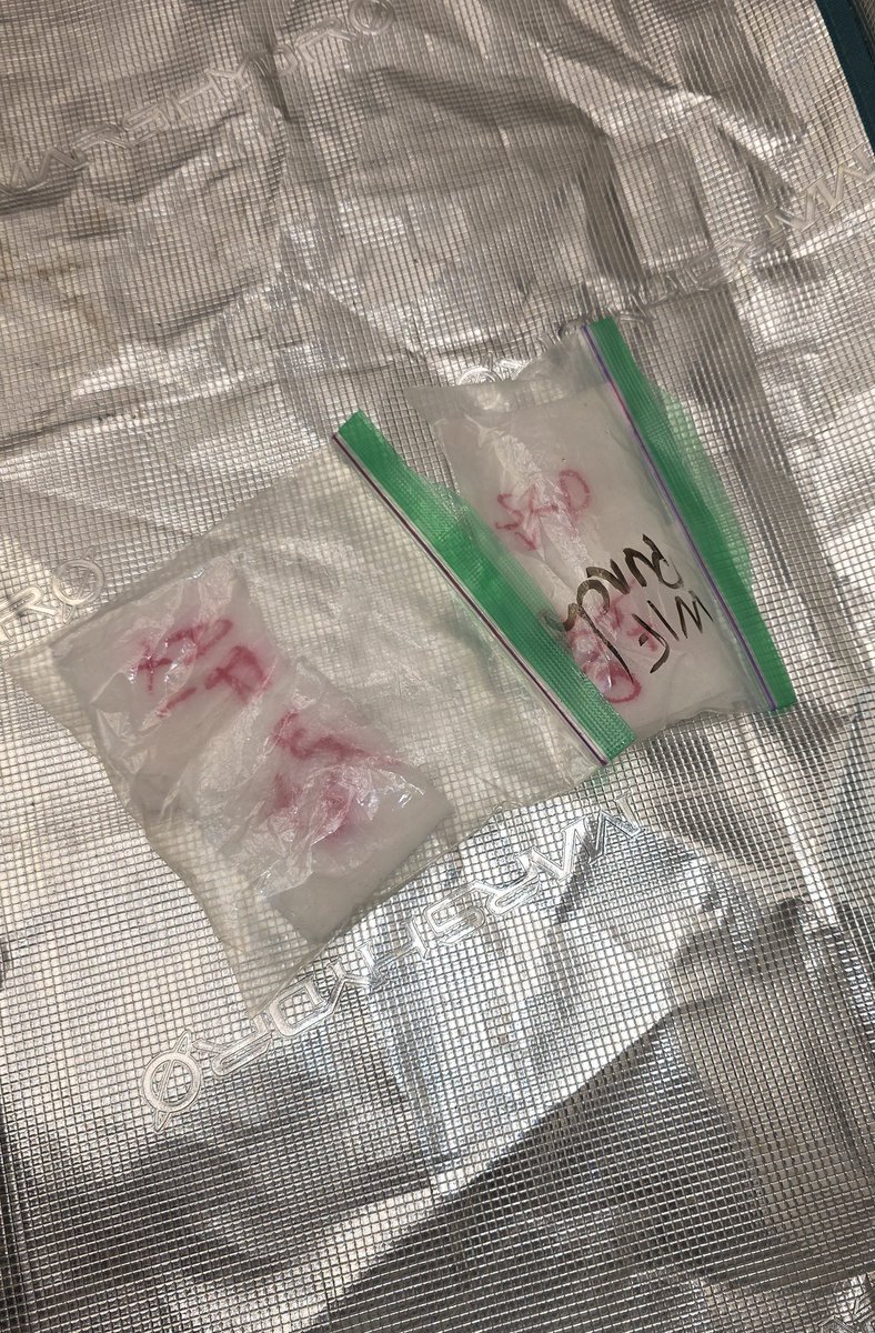 Kush KingWheez♐ tweet media