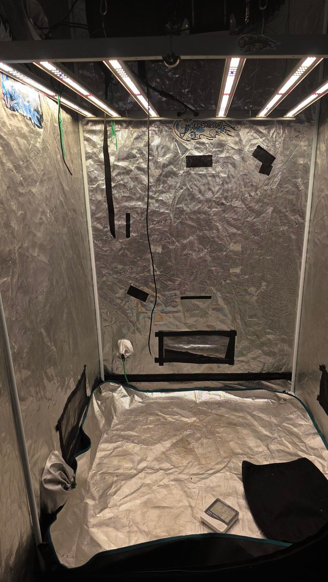 Kush KingWheez♐ tweet media