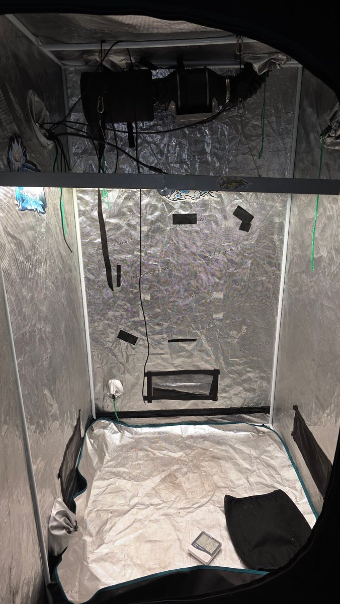 Kush KingWheez♐ tweet media