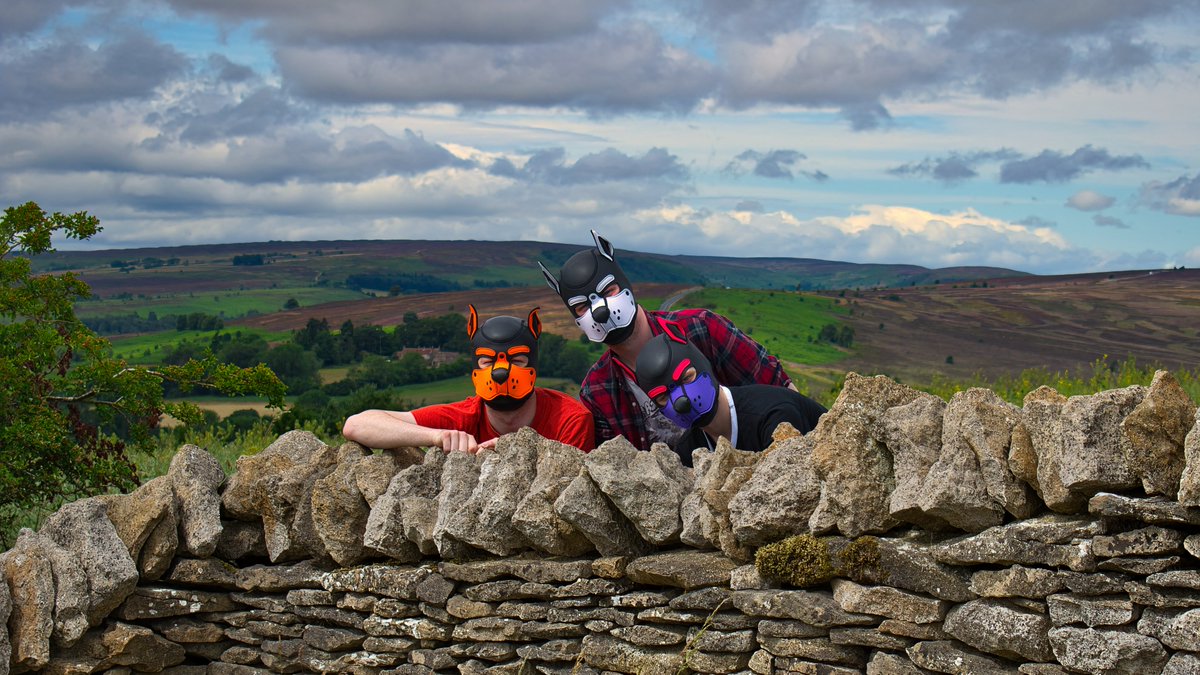 Who wants to join us for zoomies &amp; adventures?

with @Mercuryg19 &amp; <a href="/colossosAD/">Pup Col</a>