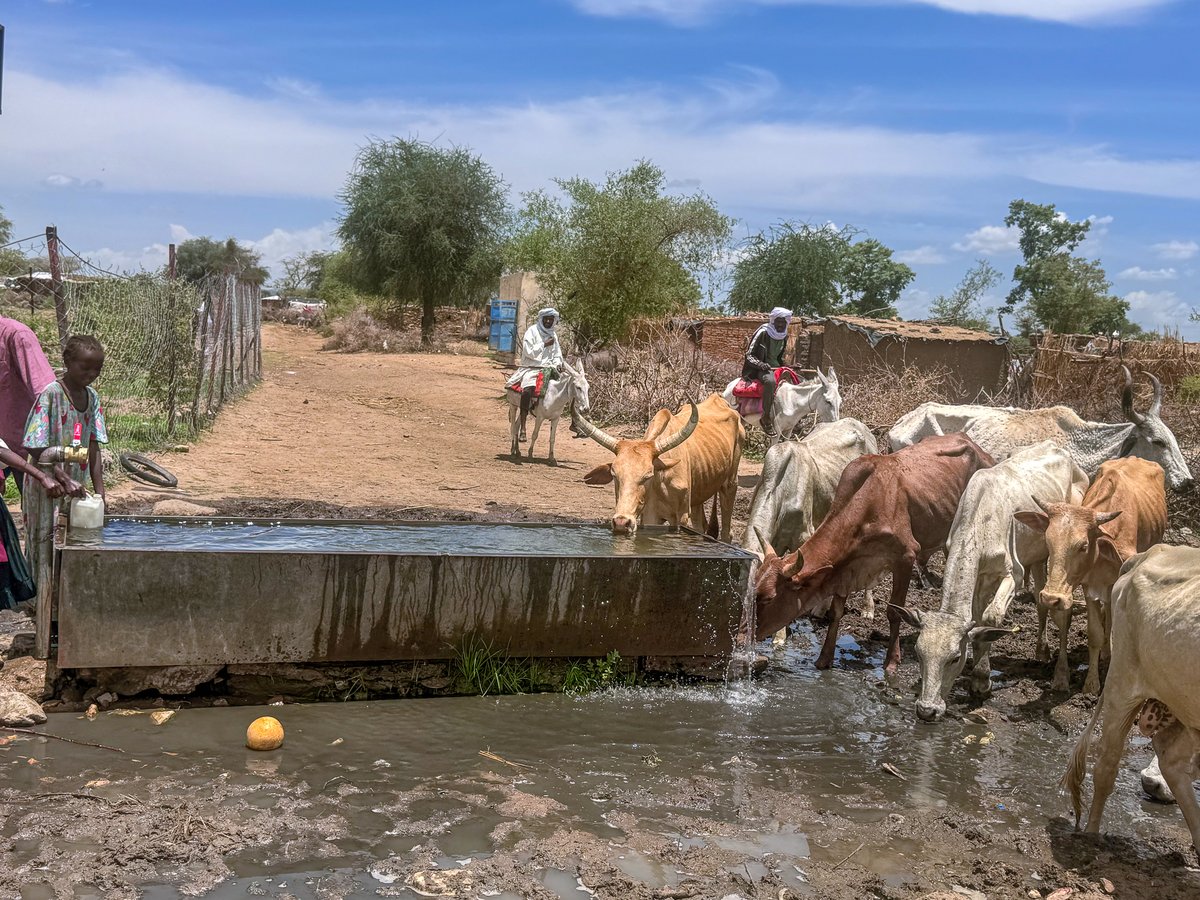 UNDP_Sudan's tweet image. After a year without clean water, over 90K people & 150K livestock in Korrely, Central Darfur now have water 24/7, thanks to a solar water system rehabilitated through @UNDP’s #FundingWindows.
Bringing health, peace, and hope to IDPs, host communities & pastoralists in #Darfur.