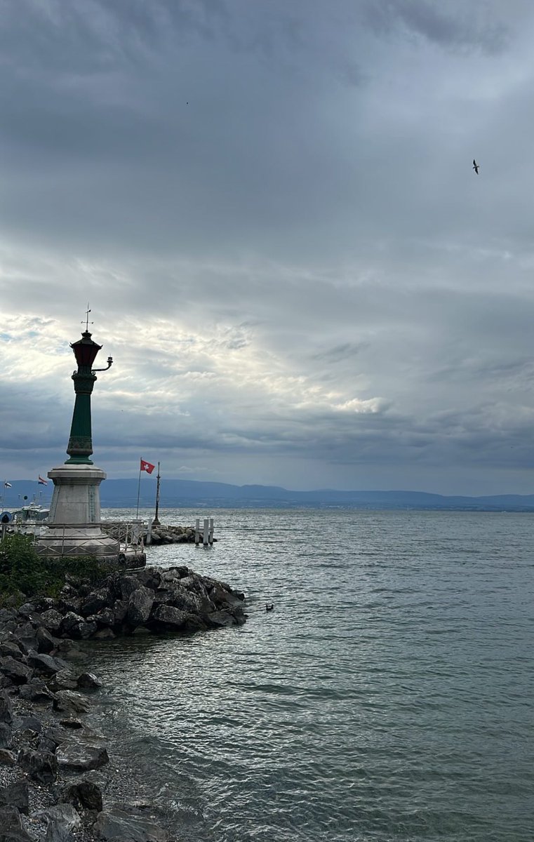 onlyandrealee's tweet image. Someone doesn’t want me to go😭