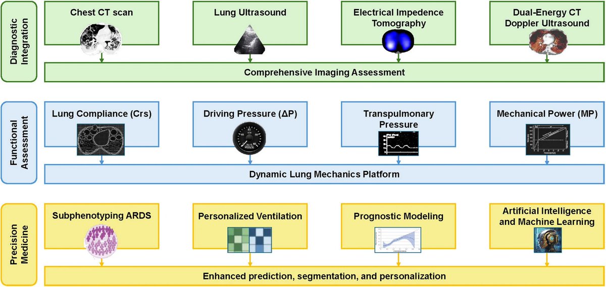 Imaging and pulmonary function techniques in ARDS diagnosis and management: current insights and challenges

CCR Journal Watch - tracking the critical care literature daily
criticalcarereviews.com/latest-evidenc…