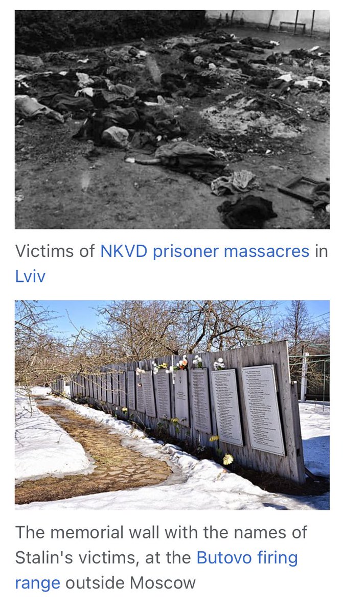 Stalin was misunderstood

„American historian Timothy D. Snyderstated that Stalin deliberately killed about 6 million, which rise to 9 million if foreseeable deaths arising from policies are taken into account. American historian William D. Rubinstein concluded that, even under