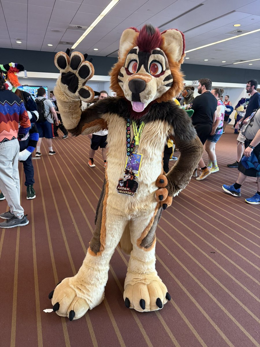 ArdenWolfsky's tweet image. Final time out suiting at AC awoo come say hi and gib hugz ❤️

#anthrocon2025 #ac #furry