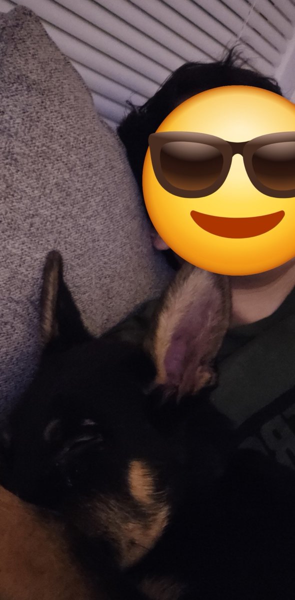 _AnonymousEcho_'s tweet image. Dog 🐶
