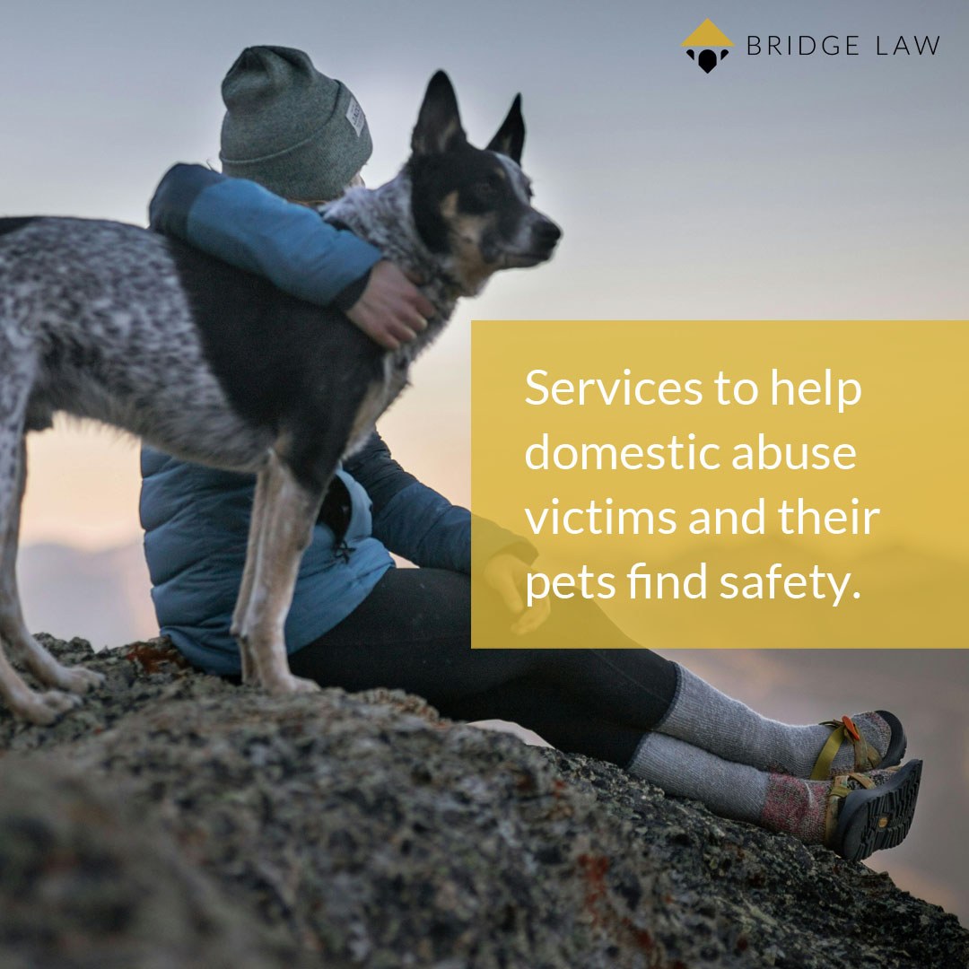 For many people escaping domestic abuse, the idea of leaving a beloved pet behind can be a major barrier to seeking help. There are services that can help to keep both the individual and the pet safe, follow the links for more info:
champ.ly/wm-ILpgE
refuge4pets.org.uk