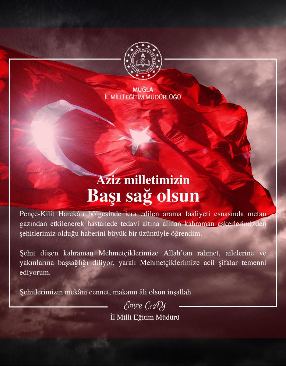 Milletimizin başı sağolsun. Şehitlerimizin ruhları şâd olsun...