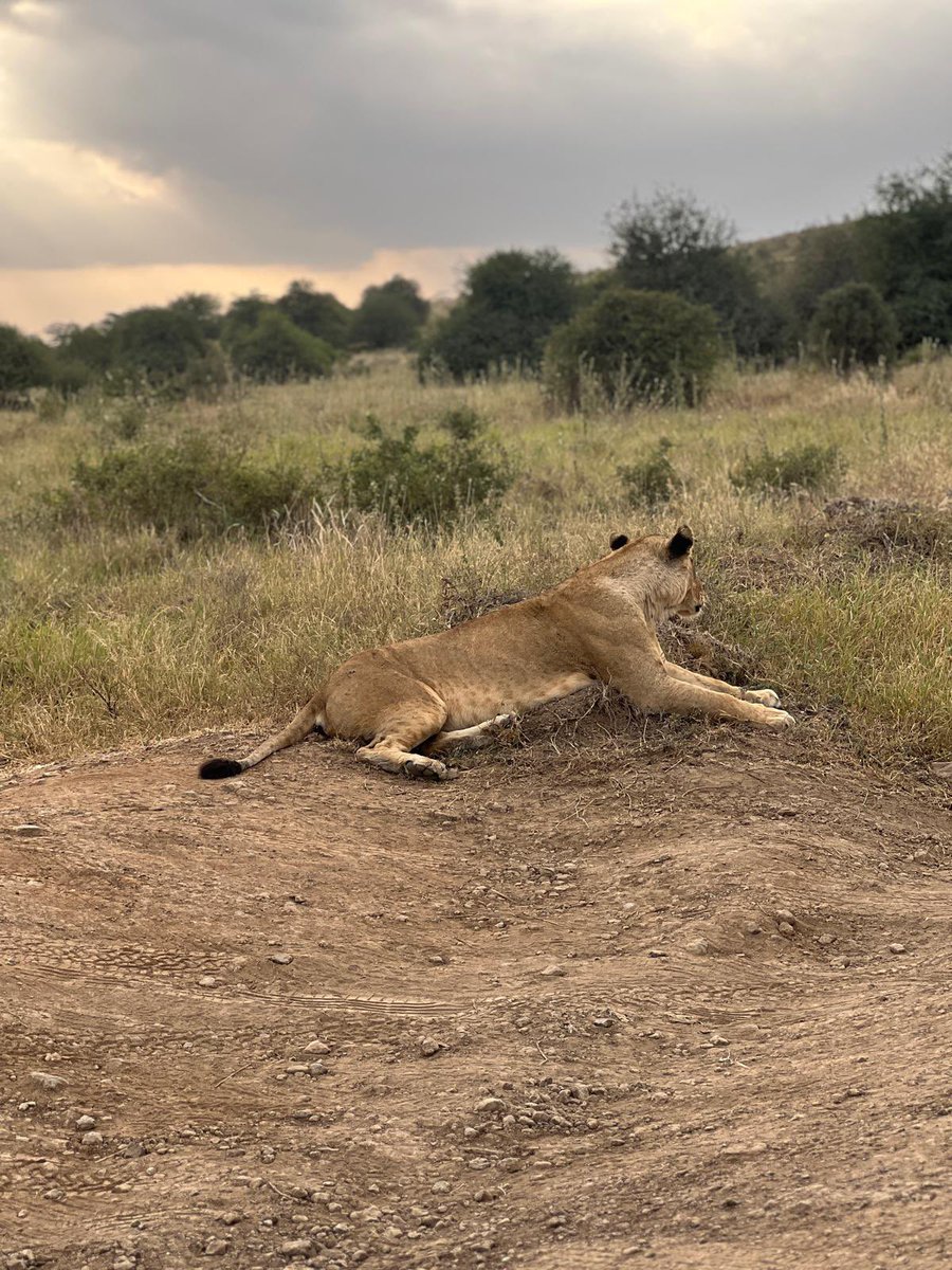 FatCatCrypto tweet media