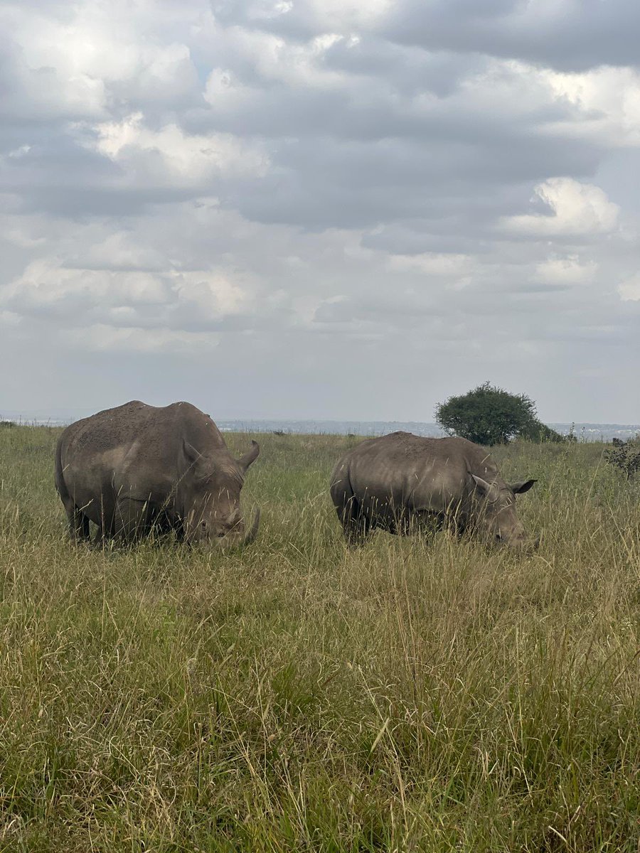 FatCatCrypto tweet media