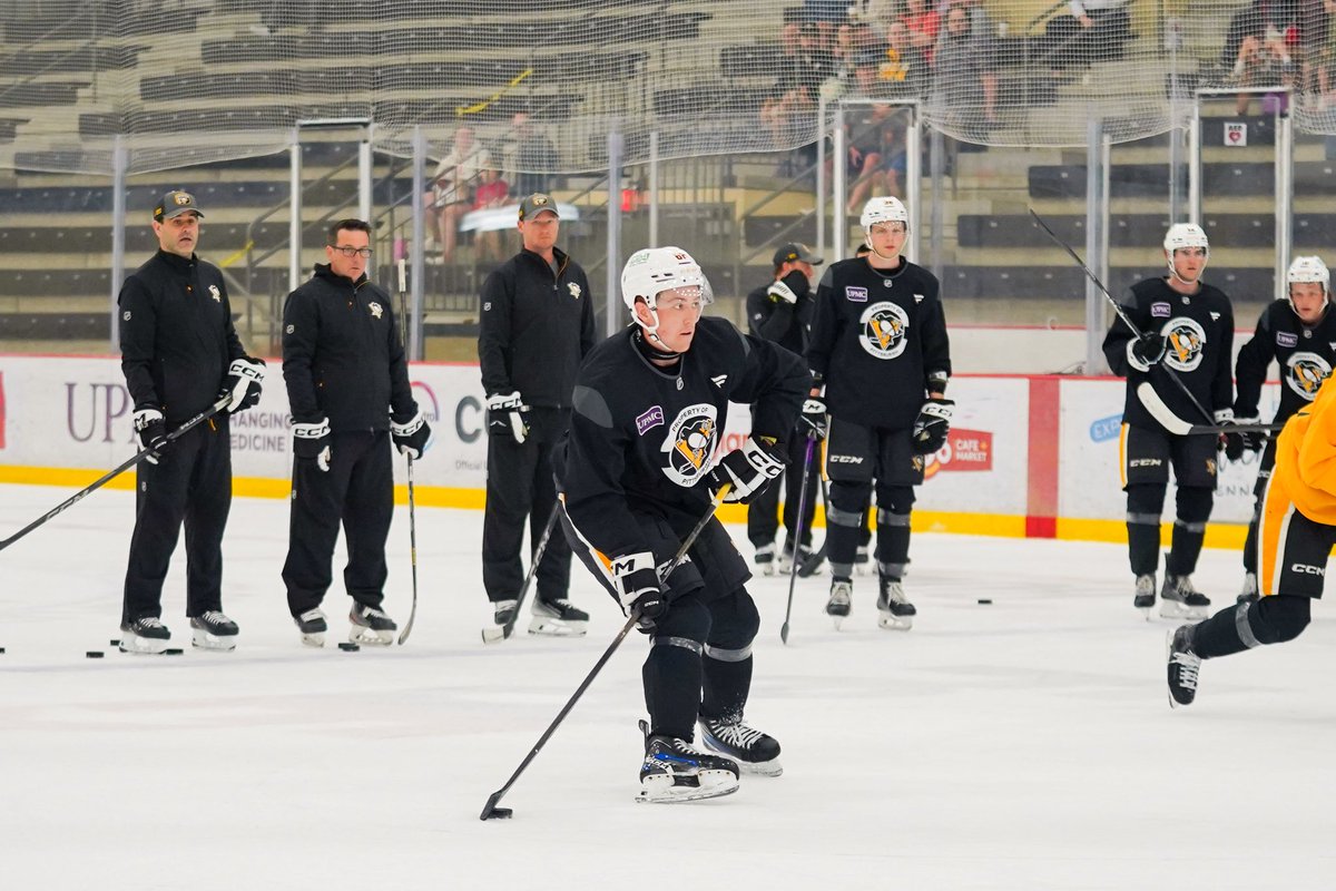 WBSPenguins's tweet image. Dev Camp Check-In
