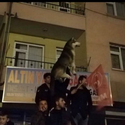 Sokağa çıkmayı düşünen berkecanların sokakta karşılaşacağı kitleyi de hesaba katmaları önemle rica olunur. 😎