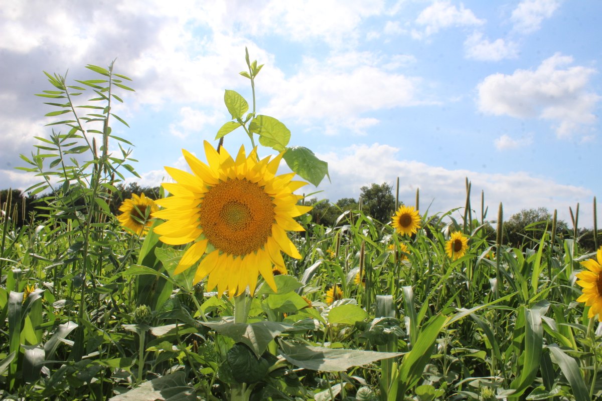 If you ask, most farmers will agree that extreme weather events such as drought, flood or fire have become more common in recent years.

And while it's not something we necessarily want to think about, it is important to consider what you might do in the event that you are unable