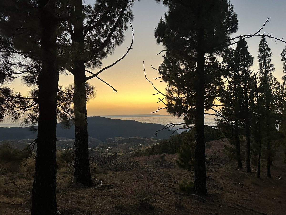 SamGuichelaar's tweet image. Watching the sunset above the clouds in Gran Canaria.
