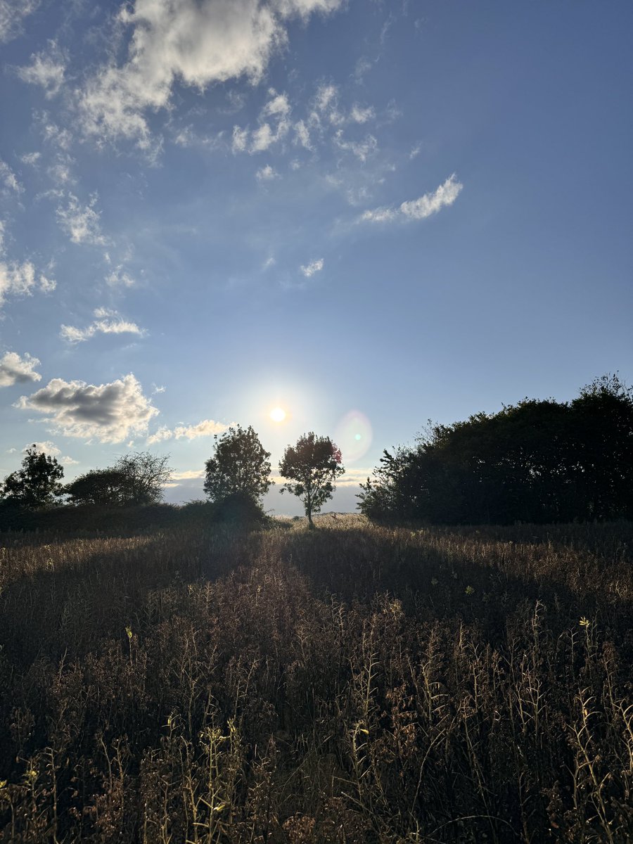 TJQPNI's tweet image. Stillness