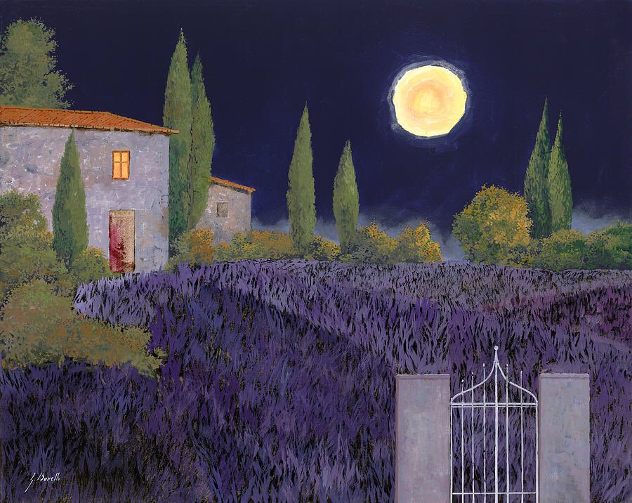 Guido Borelli