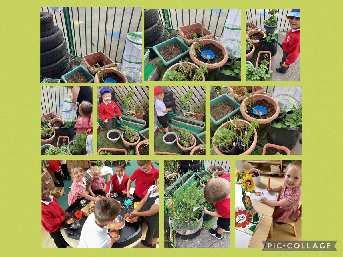 Askern Littlemoor Infant Academy (@littlemooracad) on Twitter photo The nursery children have enjoyed their topic on growing and life cycles this term, giving our butterflies a wonderful send off! They have been nurturing the plants in their garden area and they have loved seeing them grow in recent weeks. <a href="/LegerEdTrust/">Leger Education Trust</a> The nursery children have enjoyed their topic on growing and life cycles this term, giving our butterflies a wonderful send off! They have been nurturing the plants in their garden area and they have loved seeing them grow in recent weeks. <a href="/LegerEdTrust/">Leger Education Trust</a>