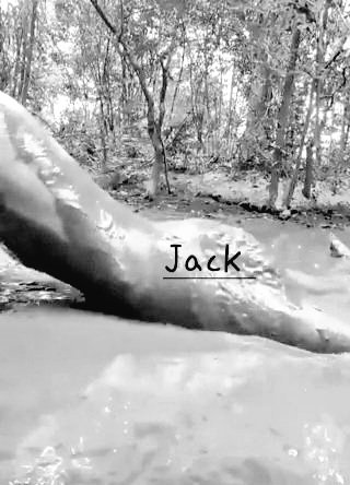 Jack tweet media