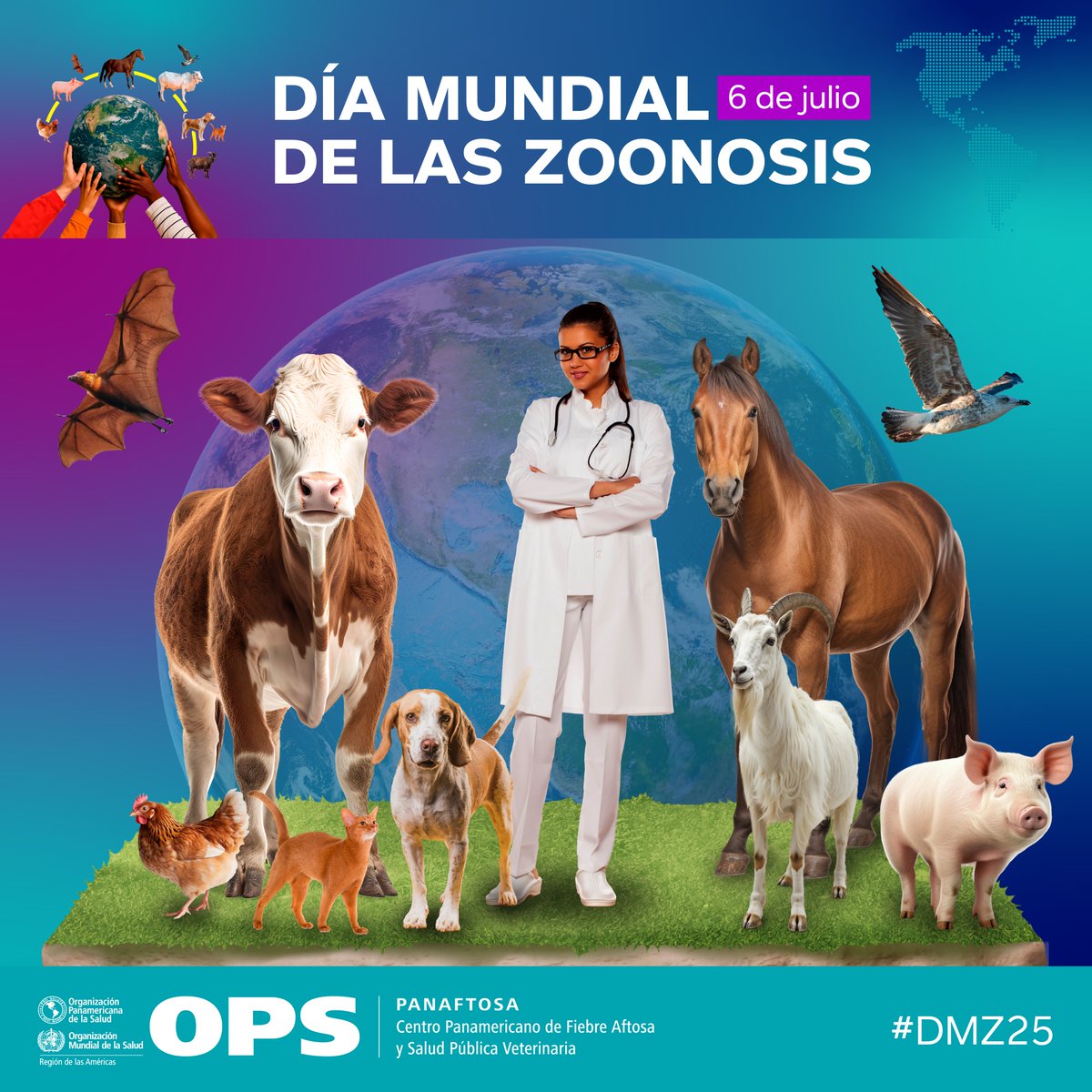 😷 Más de 2.400 millones de casos de enfermedades humanas son causados por zoonosis cada año.
🦠 La rabia, brucelosis, gripe aviar, tuberculosis y hidatidosis son solo algunas de las más de 200 zoonosis conocidas.
👉 Prevenir en animales es proteger a las personas.
#DMZ25