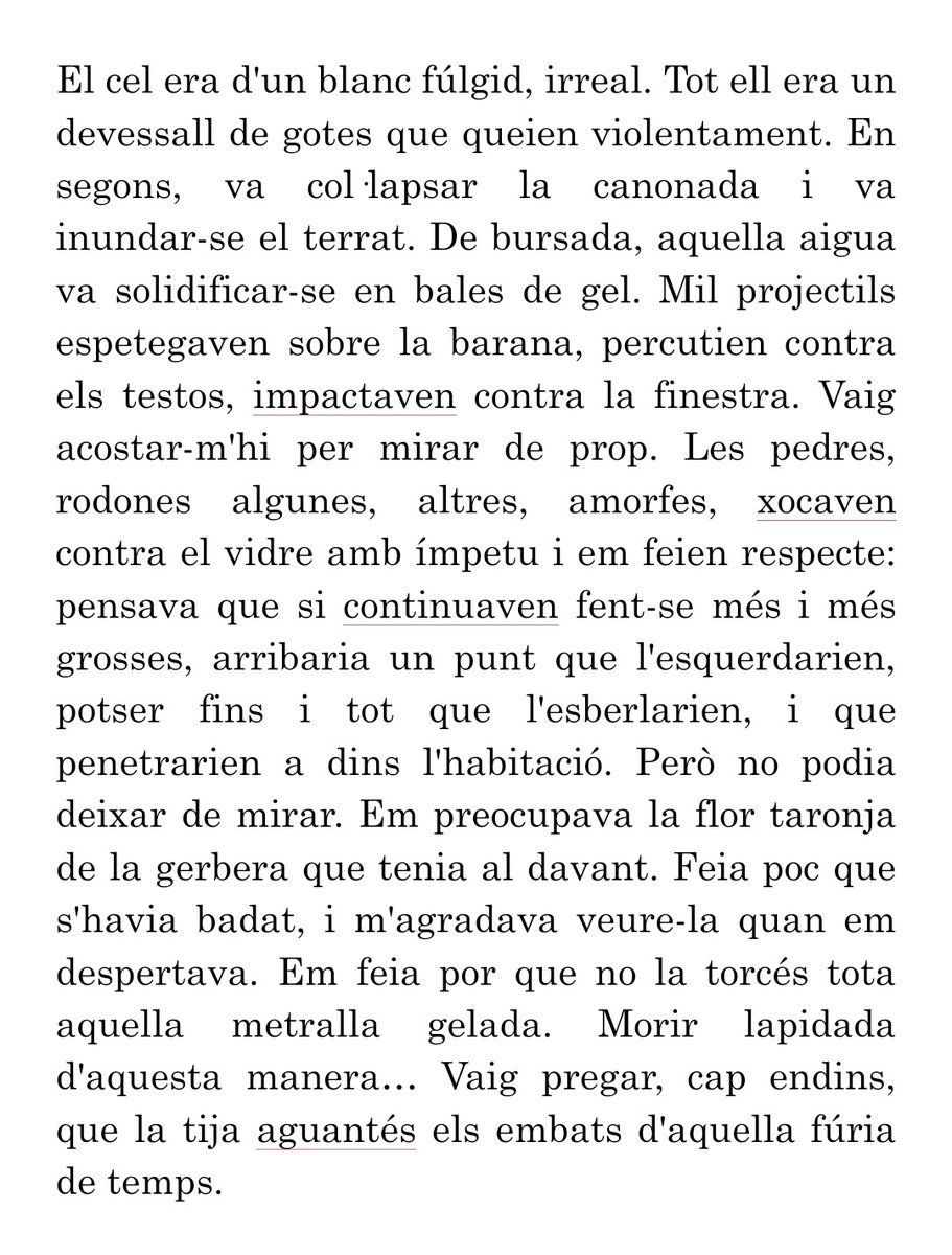 Yun Vidal Coll tweet media