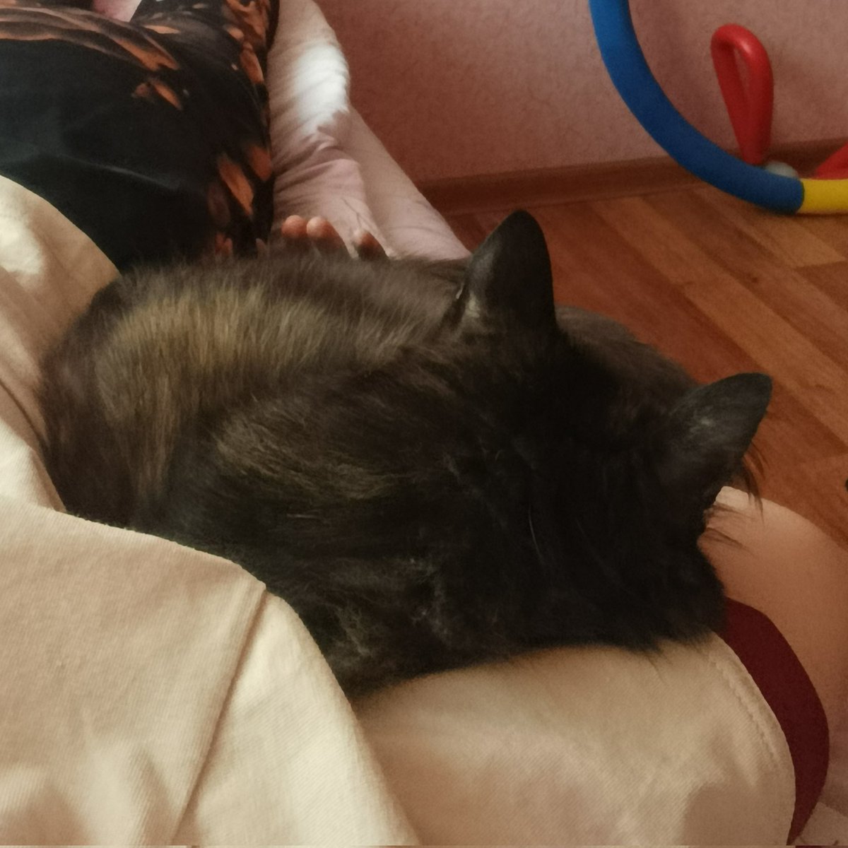 я больше никогда не смогу подняться с кровати
