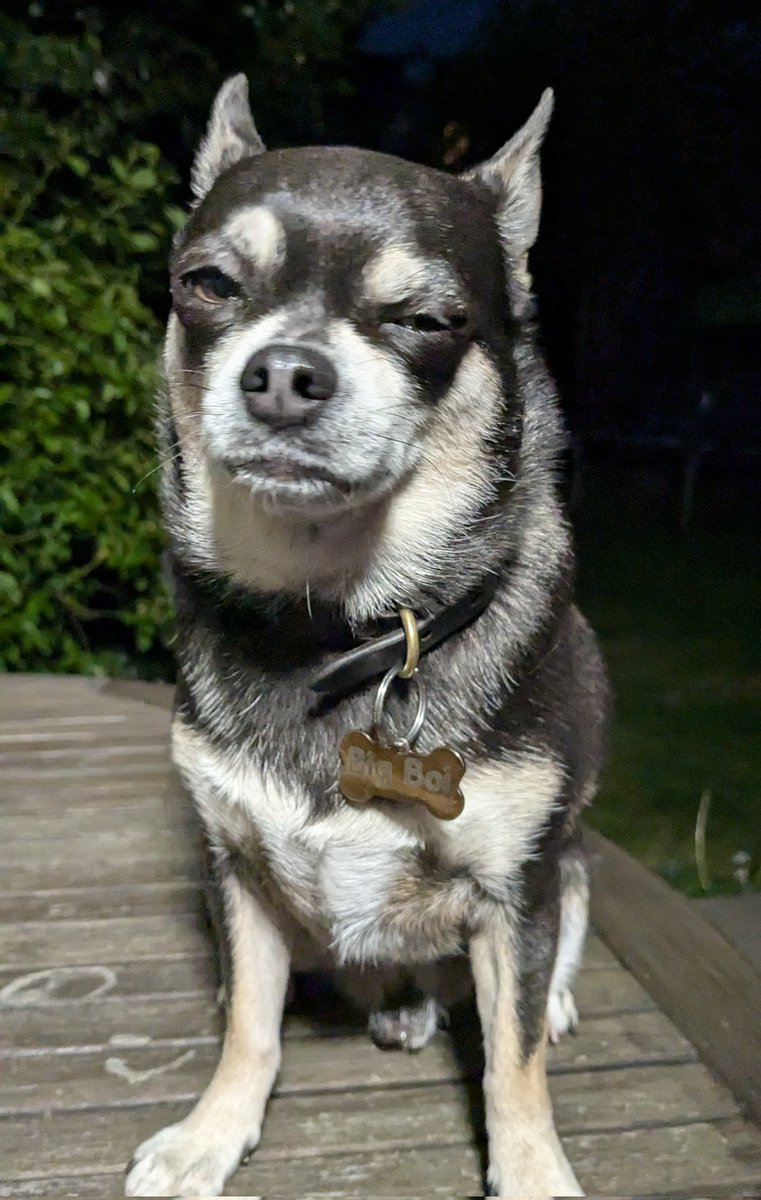 Accept people exactly the way they are.

Do not judge like Big Boi chihuahua does.

Don't be like Big Boi.