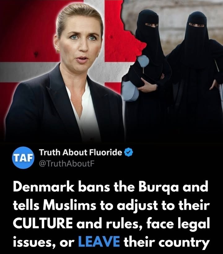 In #Dänemark ist die Burka im öffentlichen Raum seit 2018 verboten – ein klares Signal gegen falsch verstandene Toleranz! 

Während wir in Deutschland einknicken, schützt Dänemark seine Werte und lässt #Islamisierung keinen Raum. So geht konsequente Politik.

#Asylwende