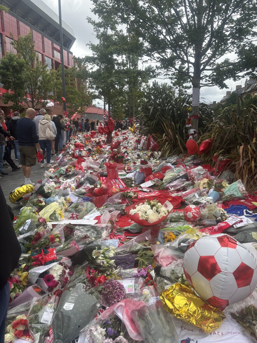 SianMclaughlin's tweet photo. 💔😢 https://t.co/0pfyqBz0Rs